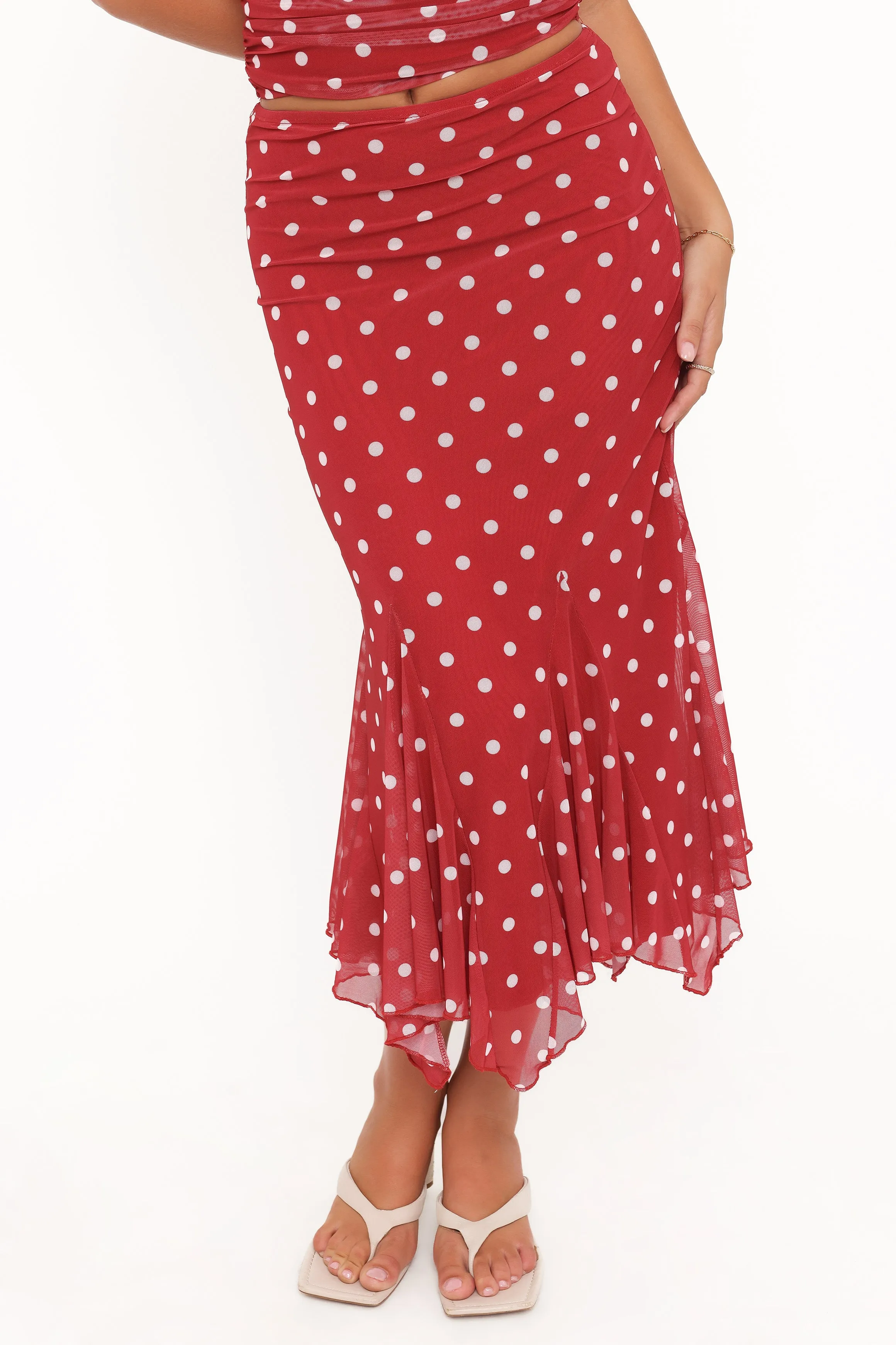 Tullia Mesh Midi Skirt - Red Polka Dot sold by Petal & Pup product image thumbnail 2