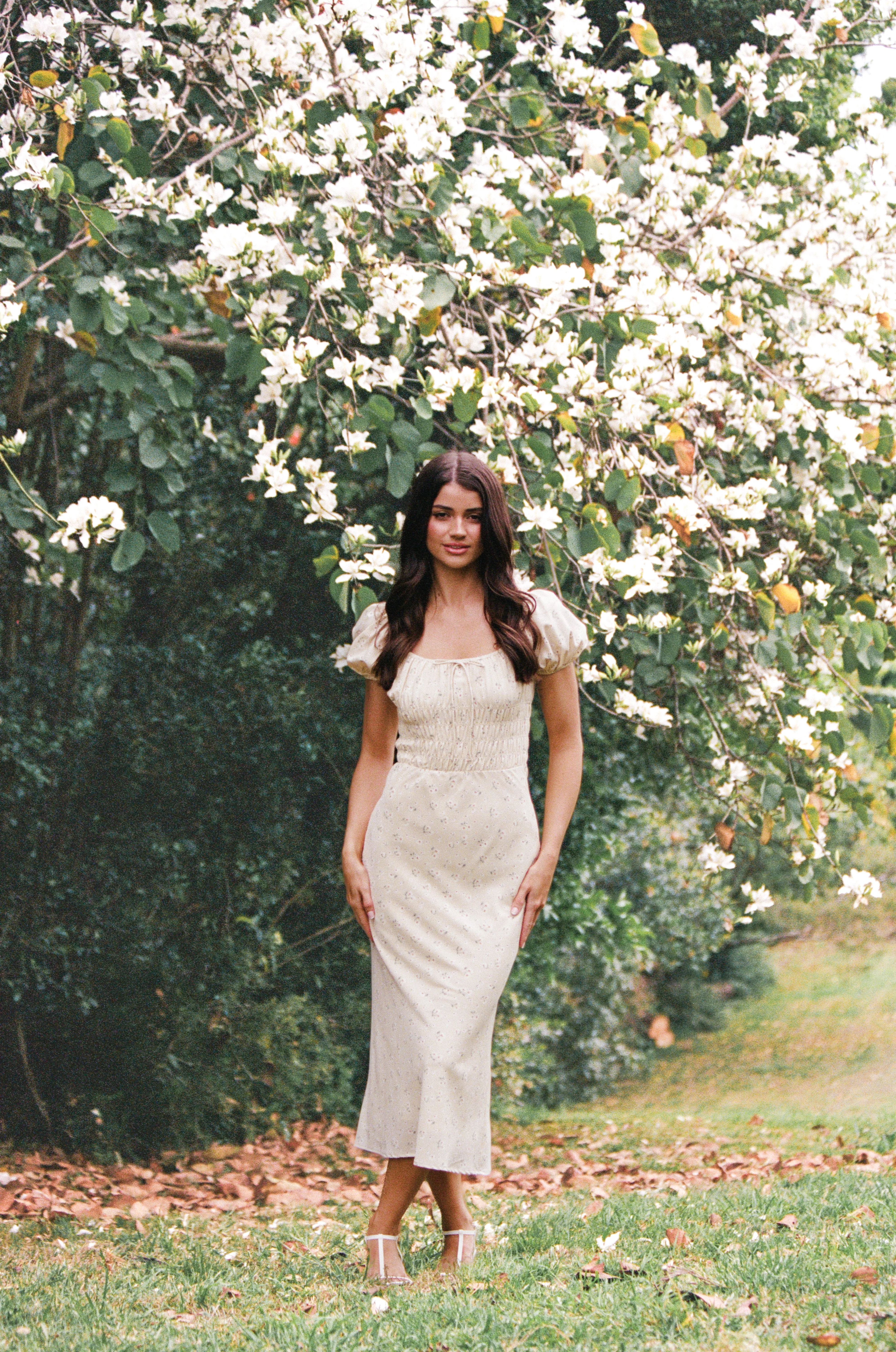 Teigan Midi Dress - Yellow Floral sold by Petal & Pup