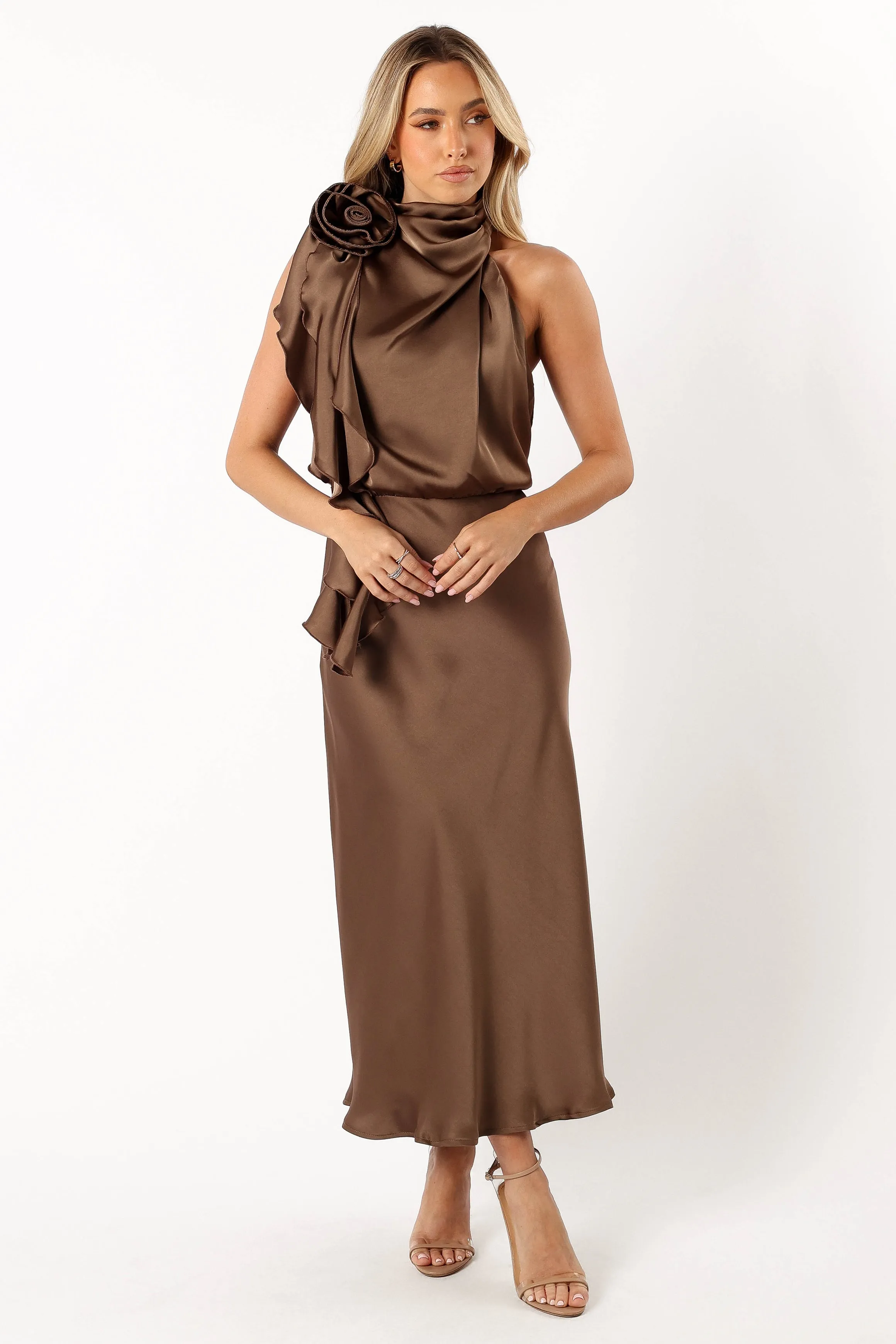 Rosie Midi Dress - Mocha sold by Petal & Pup product image thumbnail 2