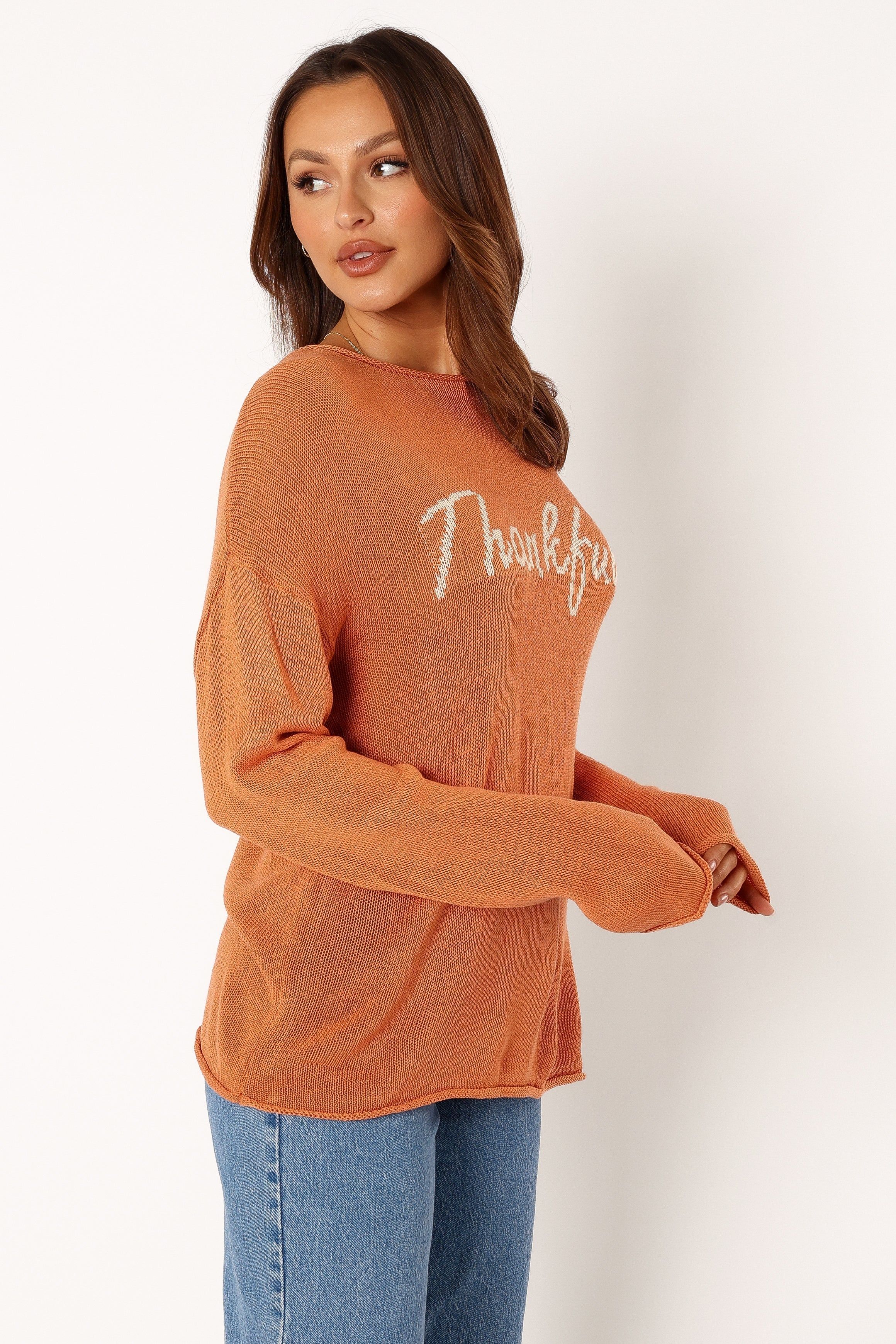 Thankful Knit Sweater - Orange sold by Petal & Pup product image thumbnail 4