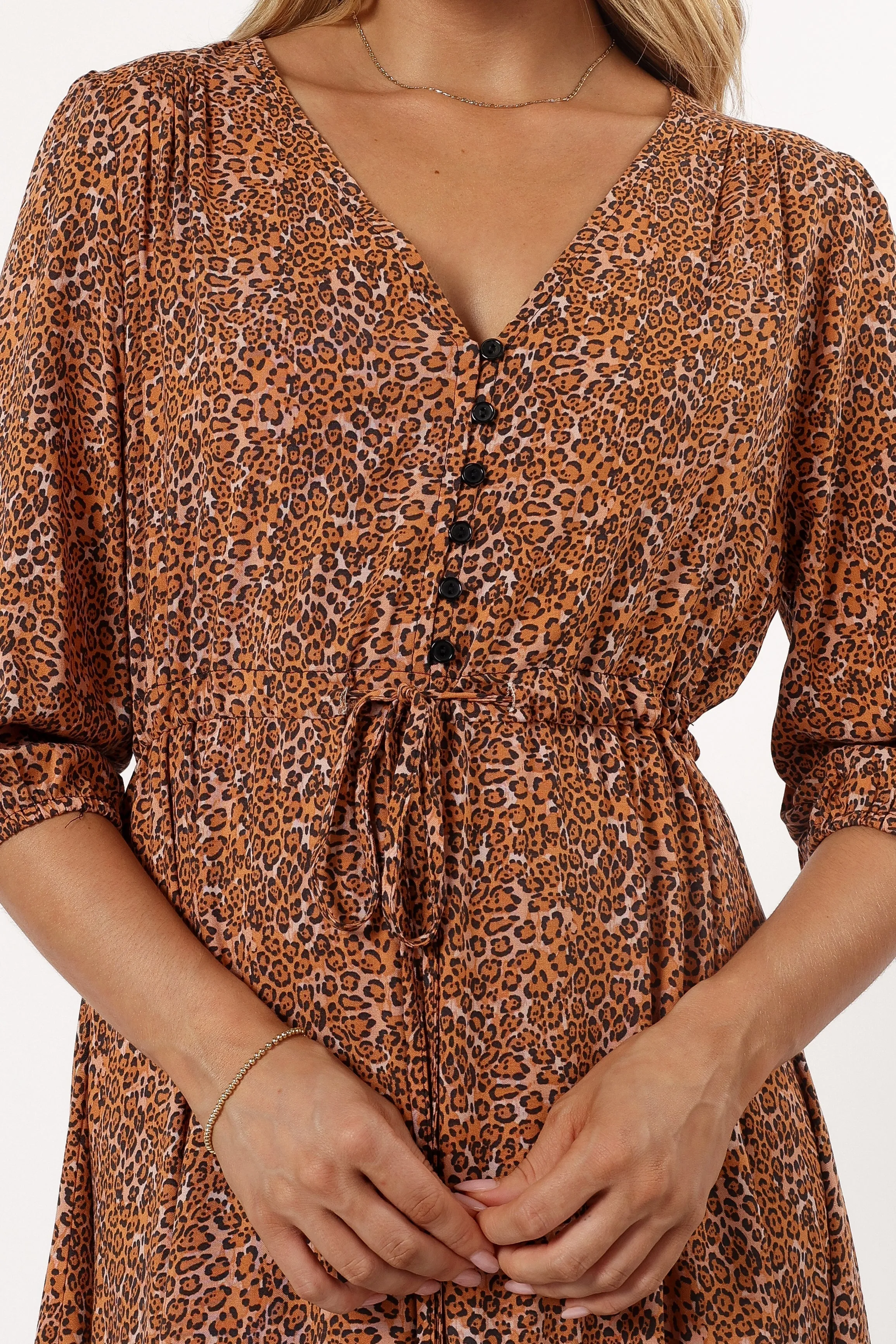 Kelda Dress - Leopard Print sold by Petal & Pup product image thumbnail 3