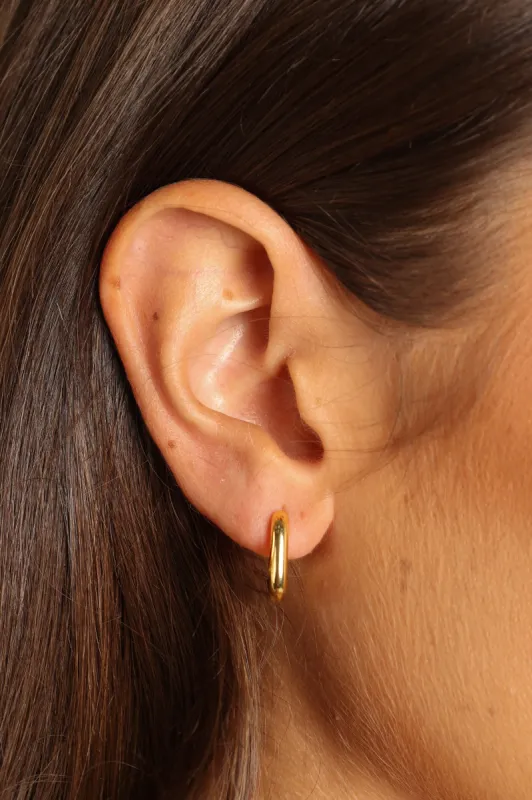 Carol Earrings - Gold sold by Petal & Pup