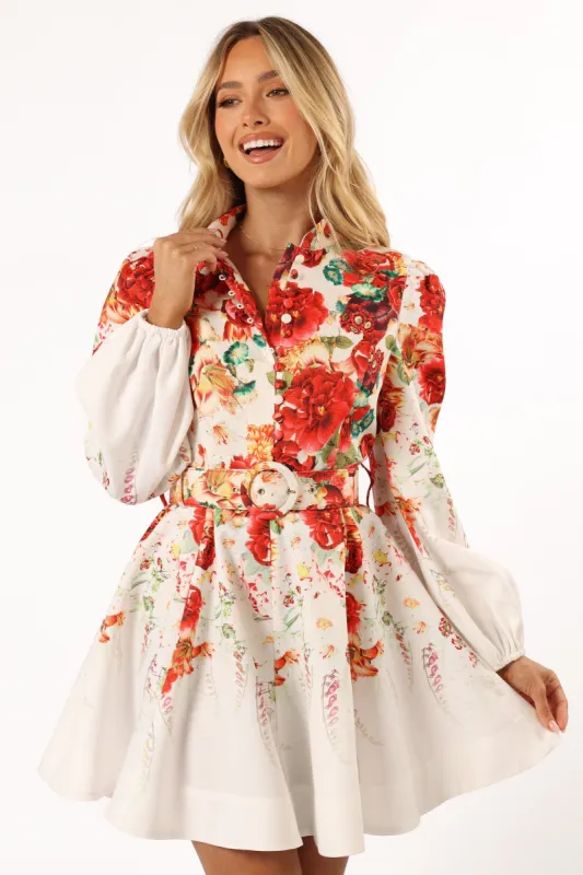 Pipps Long Sleeve Mini Dress - Multi sold by Petal & Pup