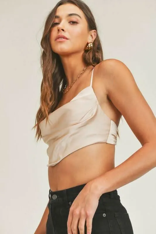 Meghan Taupe Satin Cowl Neck Crop Top sold by Boho Pink product image thumbnail 4