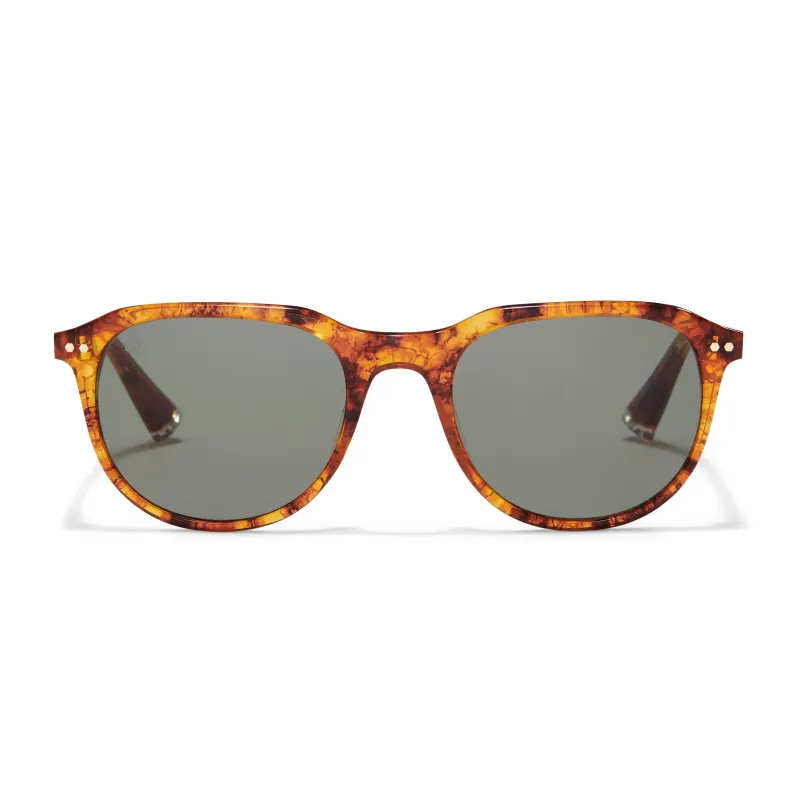 Talbot Sunglasses sold by Taylor Morris Eyewear