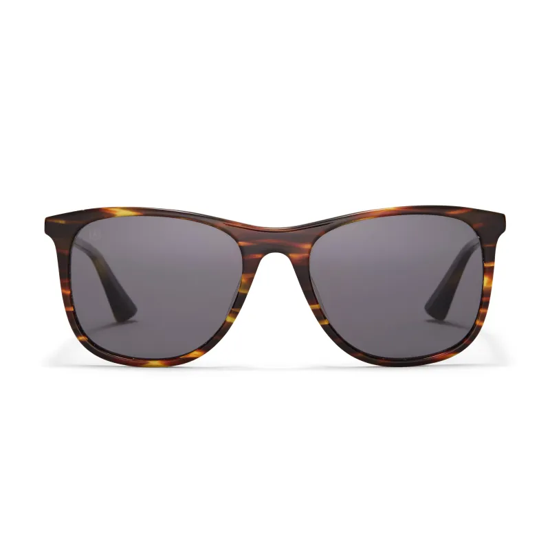 Raleigh Sunglasses sold by Taylor Morris Eyewear