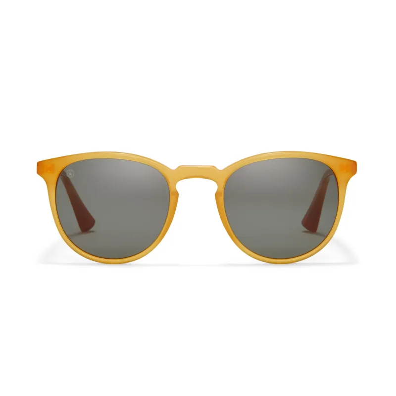 George Arthur Sunglasses sold by Taylor Morris Eyewear