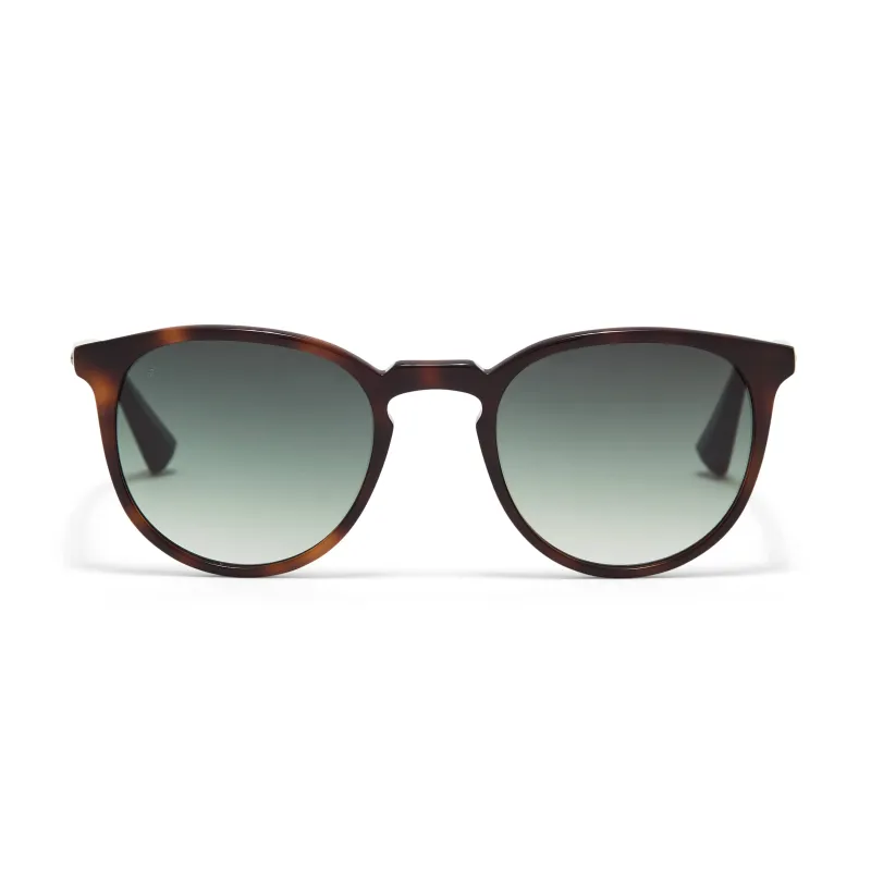 George Arthur Sunglasses sold by Taylor Morris Eyewear