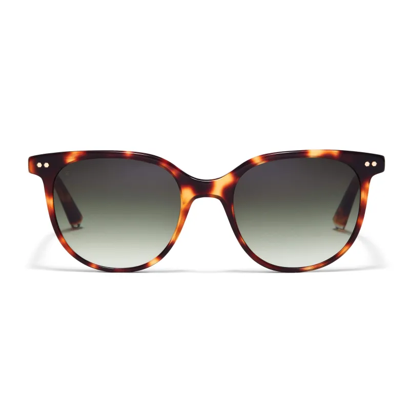 Faraday Sunglasses made by Taylor Morris Eyewear