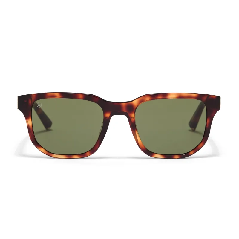 Windsor Sunglasses sold by Taylor Morris Eyewear