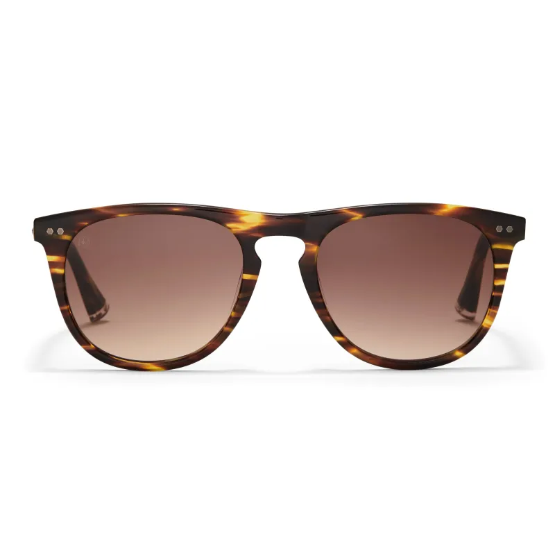 Bassett Sunglasses sold by Taylor Morris Eyewear