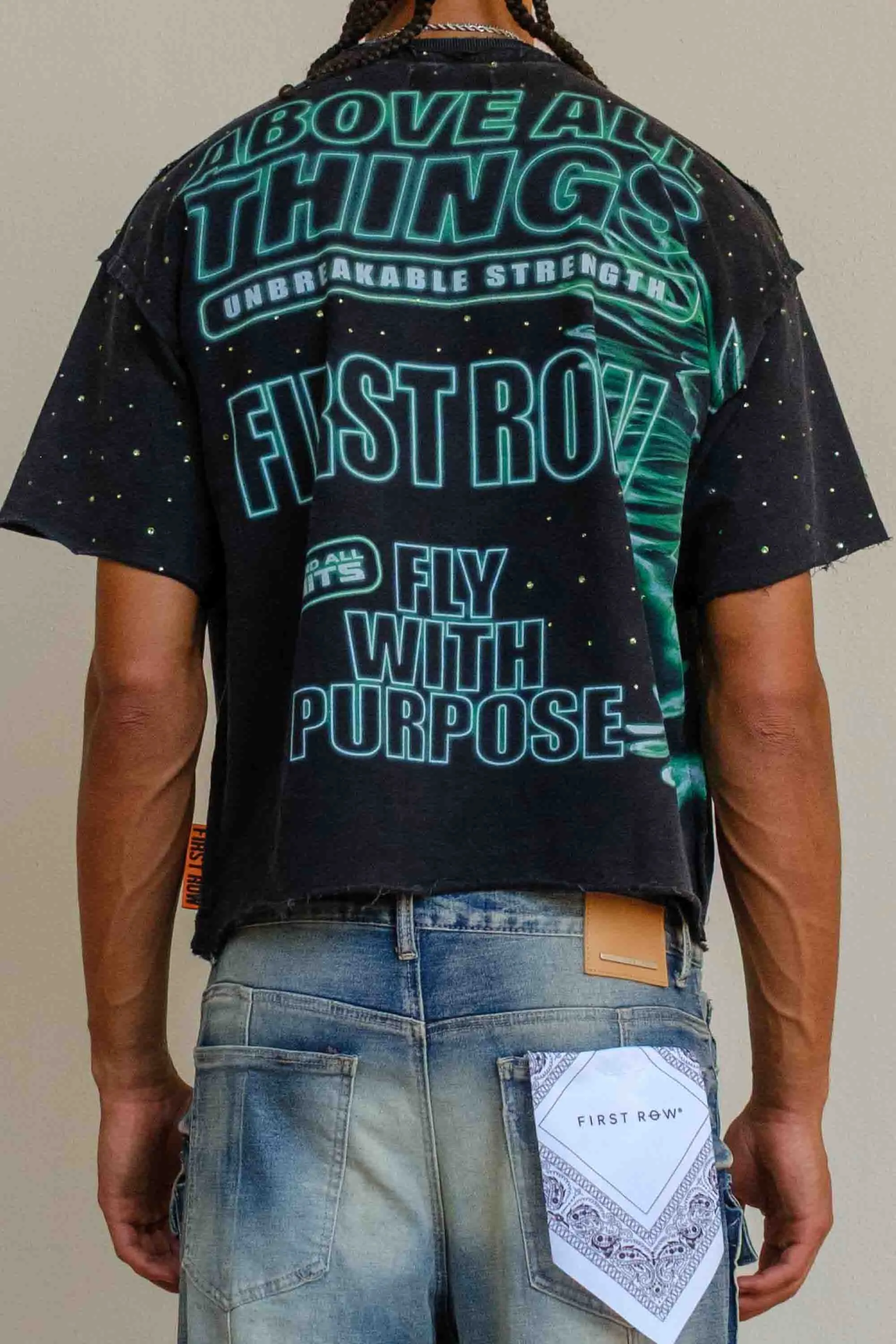 ABOVE ALL THINGS NOCTURNAL FLIGHT CROPPED TEE sold by First Row product image thumbnail 4
