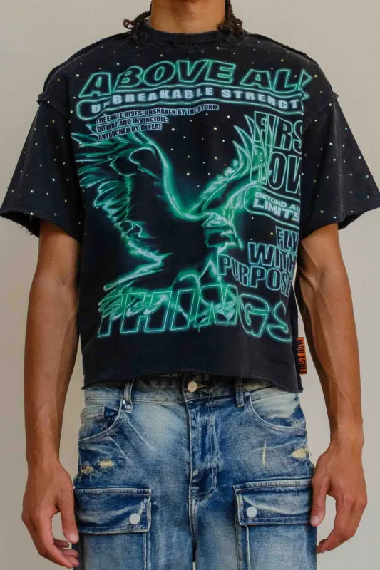 ABOVE ALL THINGS NOCTURNAL FLIGHT CROPPED TEE made by First Row