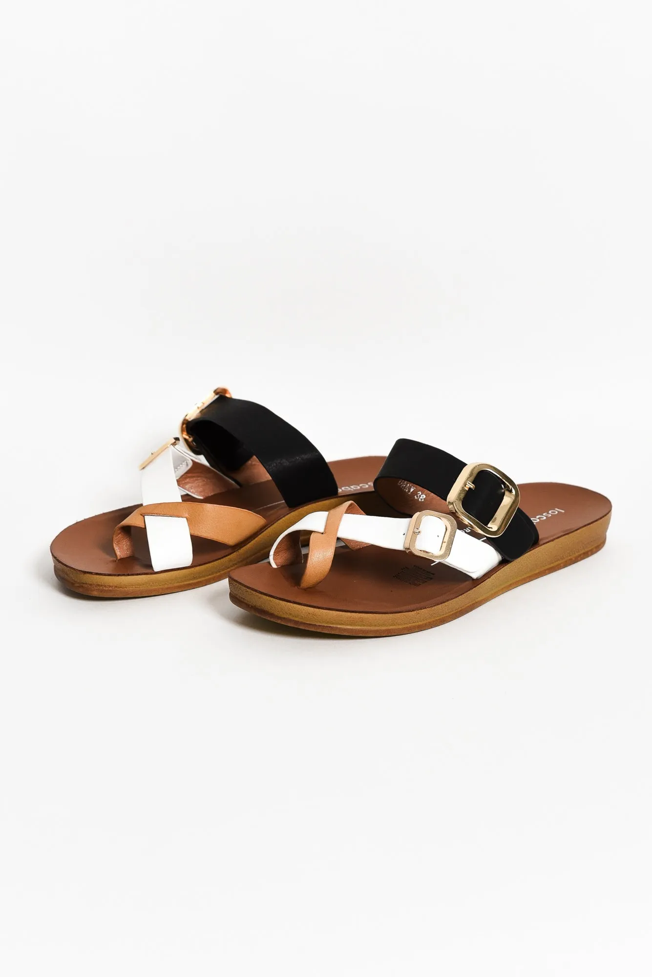 Dany Black Splice Buckle Slide sold by Blue Bungalow product image thumbnail 2