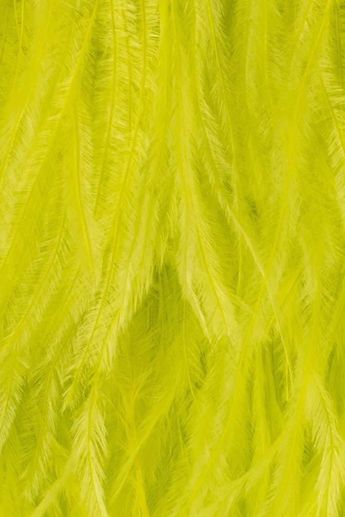 Estelle Yellow Feather Clutch sold by Blue Bungalow product image thumbnail 4