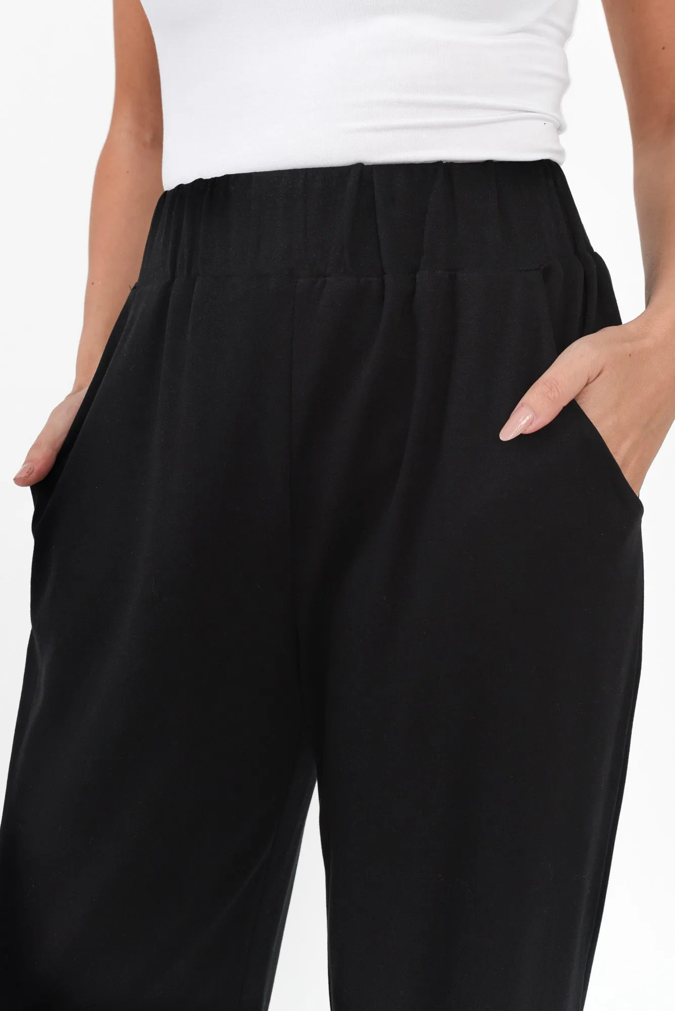 Chaplin Black Stretch Pants sold by Blue Bungalow product image thumbnail 3