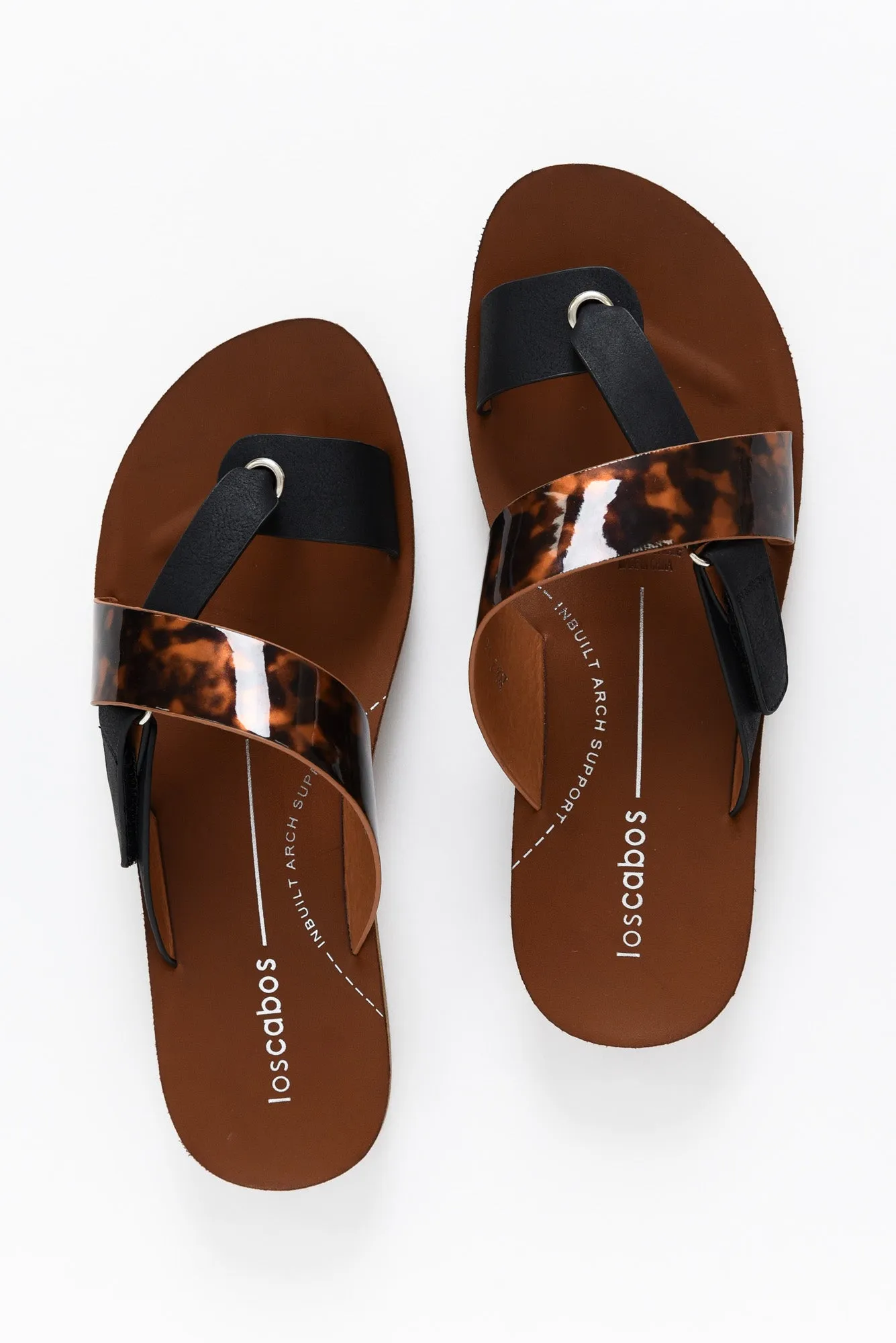 Bry Black Tortoise Multi Strap Slide sold by Blue Bungalow product image thumbnail 2