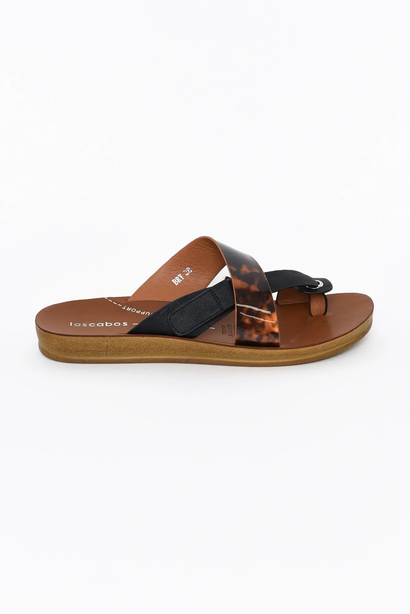 Bry Black Tortoise Multi Strap Slide sold by Blue Bungalow product image thumbnail 3