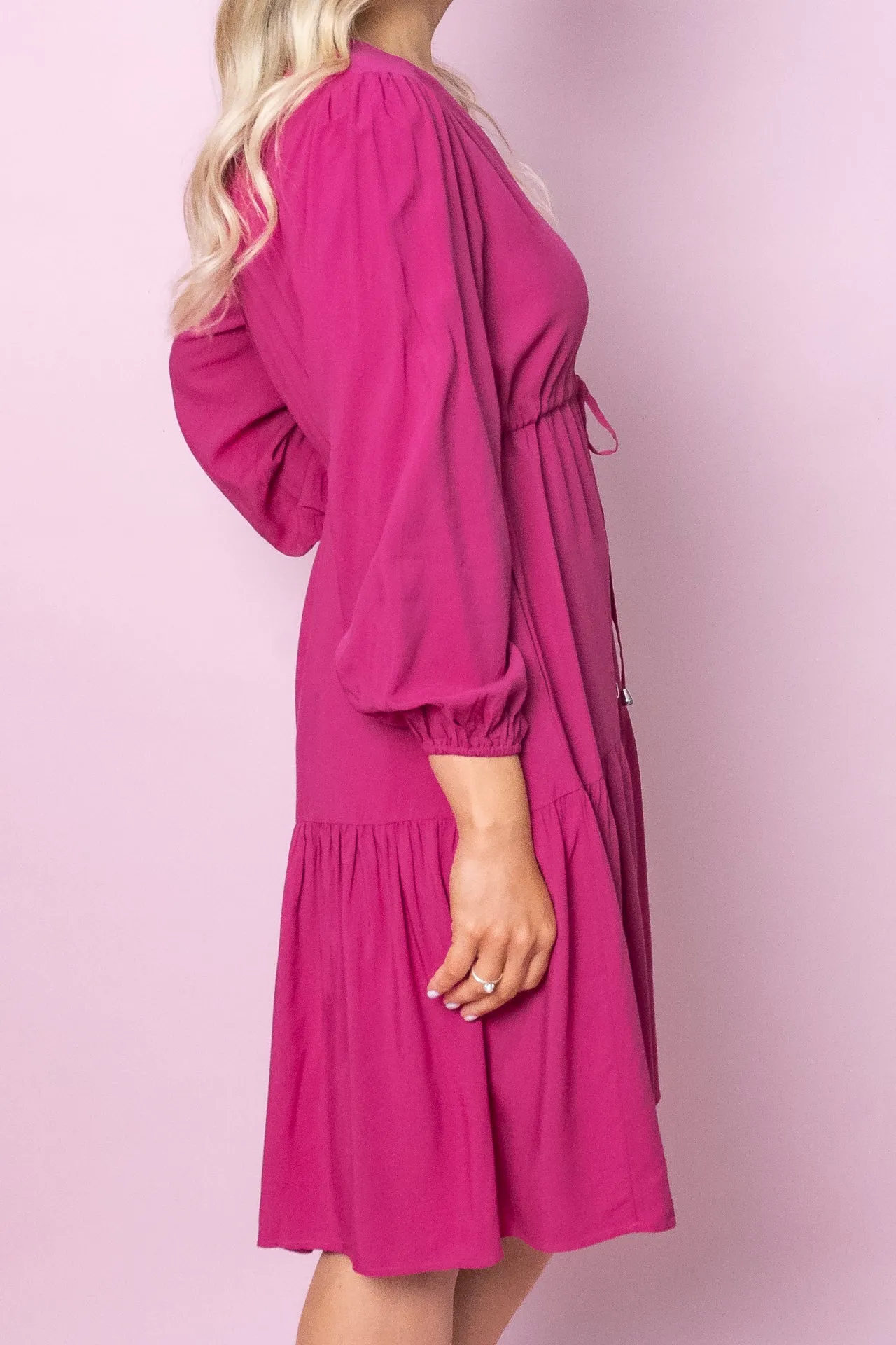 Dixie Dress in Fuchsia - Final Sale sold by Always Alice product image thumbnail 4