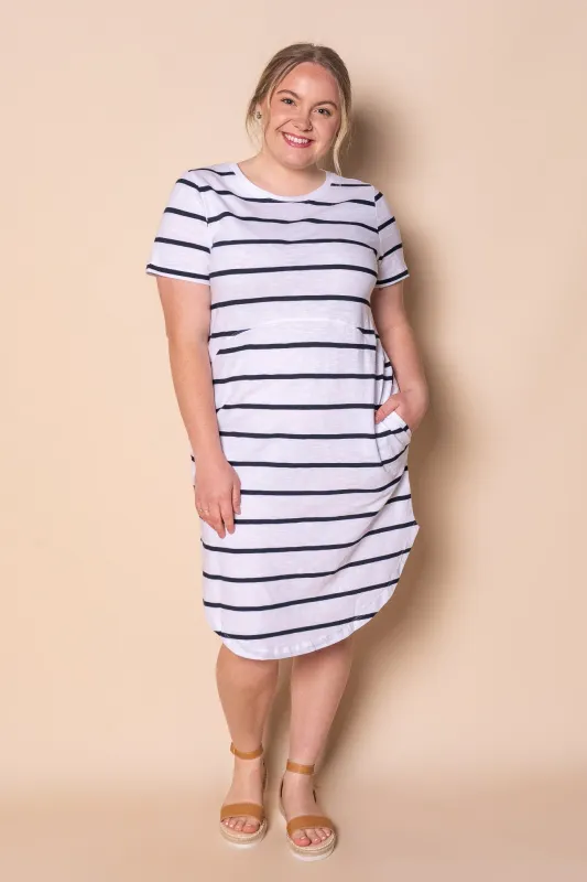 Bay Stripe Dress in White/Navy Stripe - Foxwood sold by Always Alice
