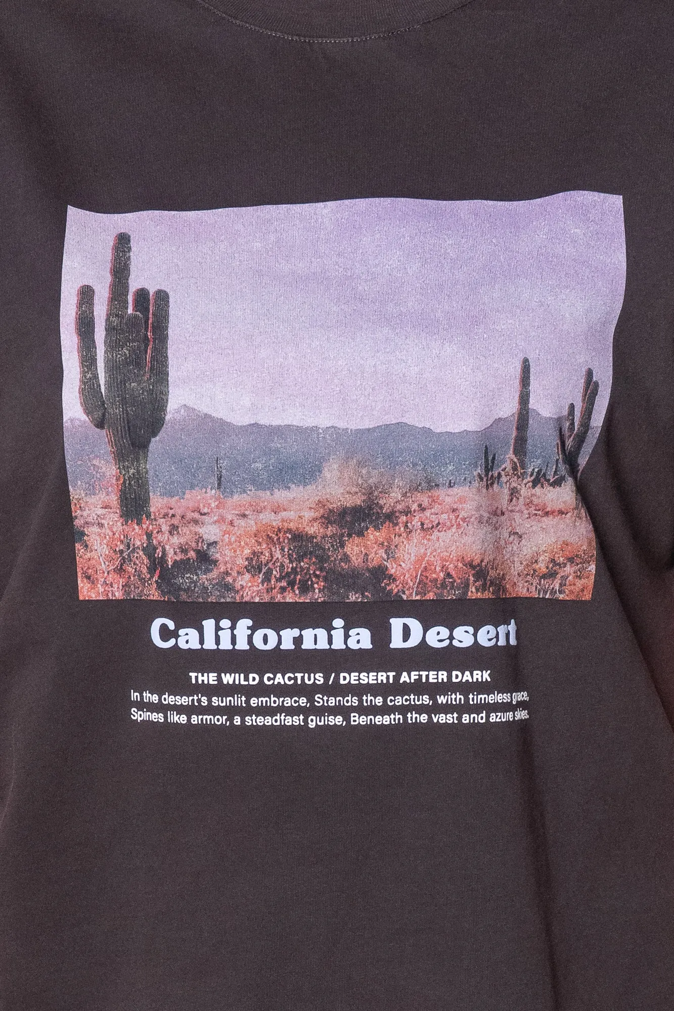 Liberty Road Relaxed Tee in Washed Black - All About Eve sold by Always Alice product image thumbnail 4