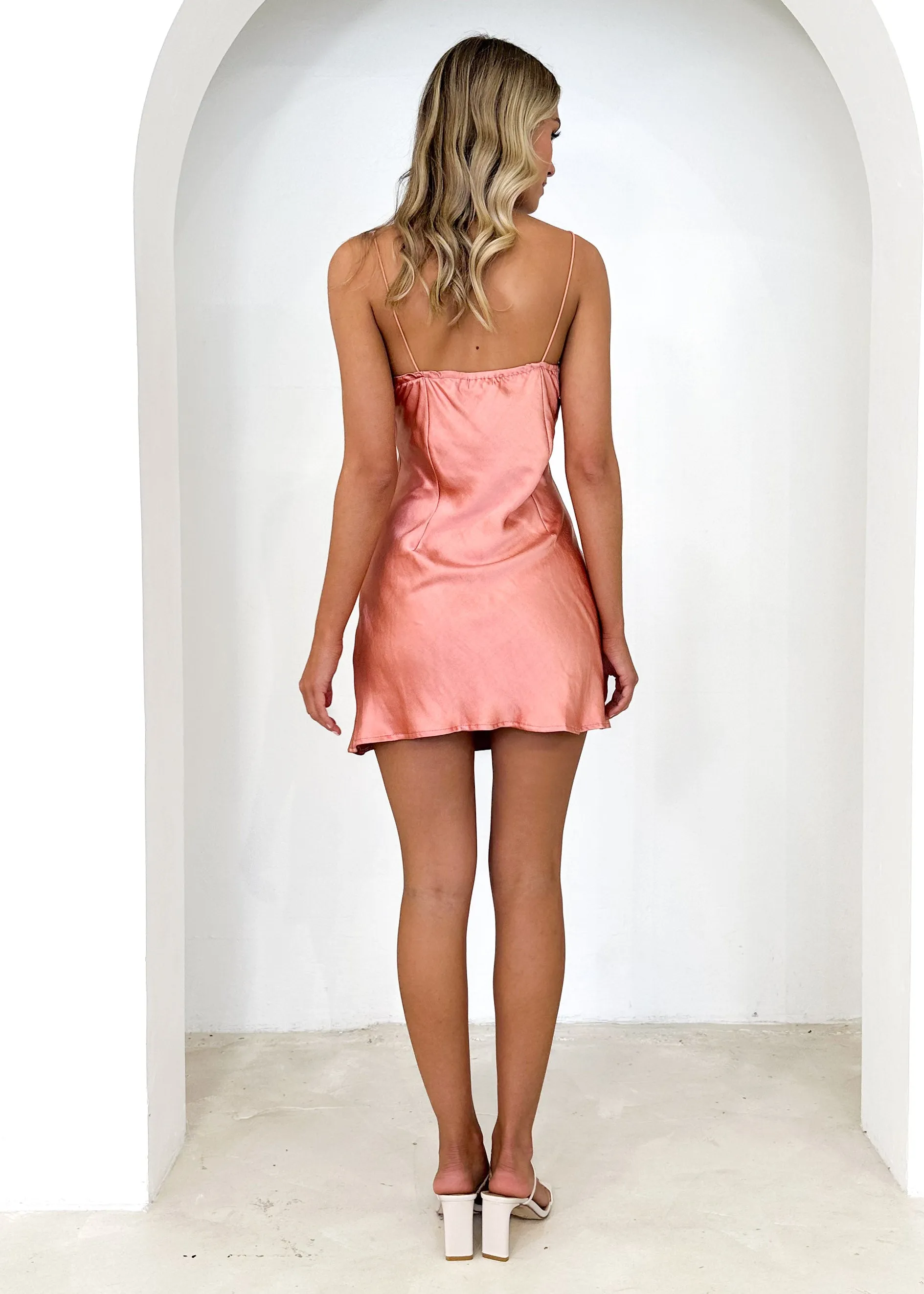 Ava Mini Dress - Rose sold by Gingham & Heels product image thumbnail 5