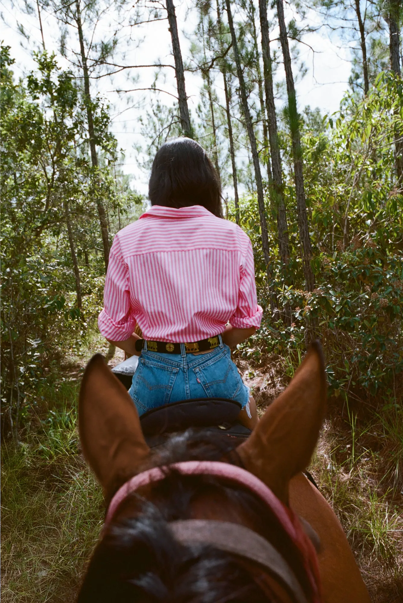 The Notched Collar Long Sleeve, Coppola Stripes sold by Comme Si product image thumbnail 2
