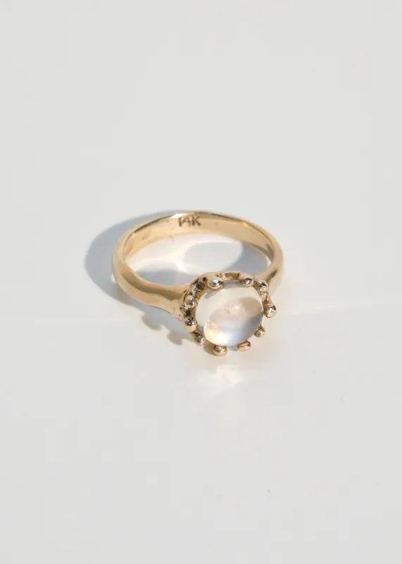 Archive Lush Ring in 14k - Moonstone made by Mondo Mondo