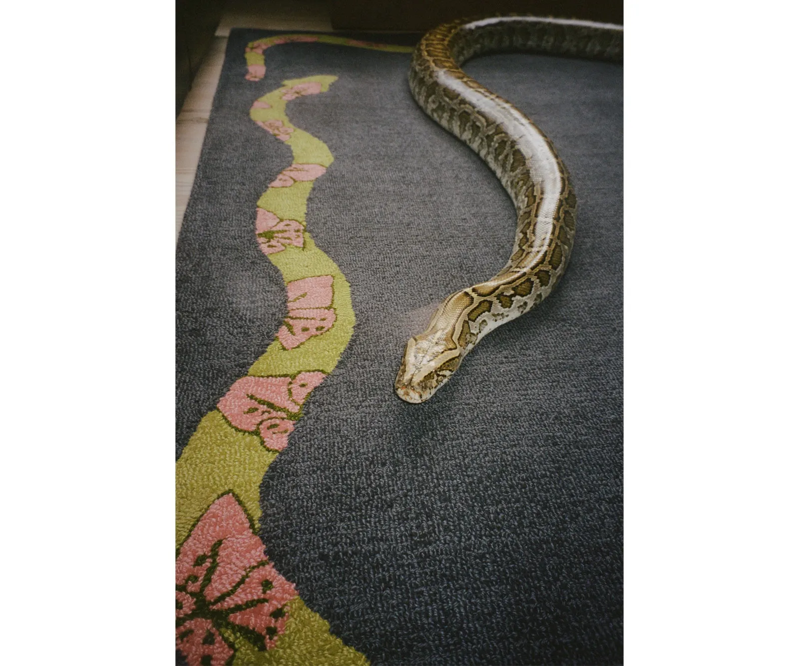 Year of the Snake Runner - Charcoal sold by Cold Picnic product image thumbnail 5