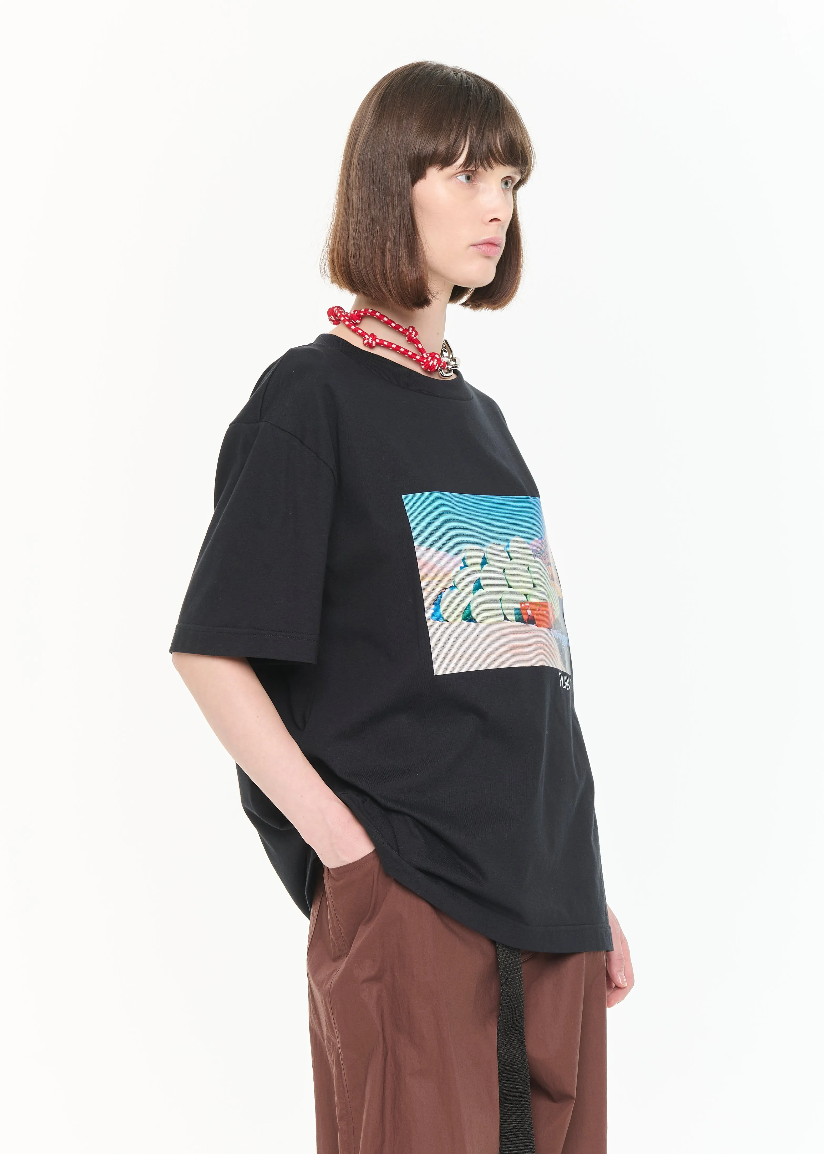 HAY PRINT T-SHIRT sold by Plan C product image thumbnail 4