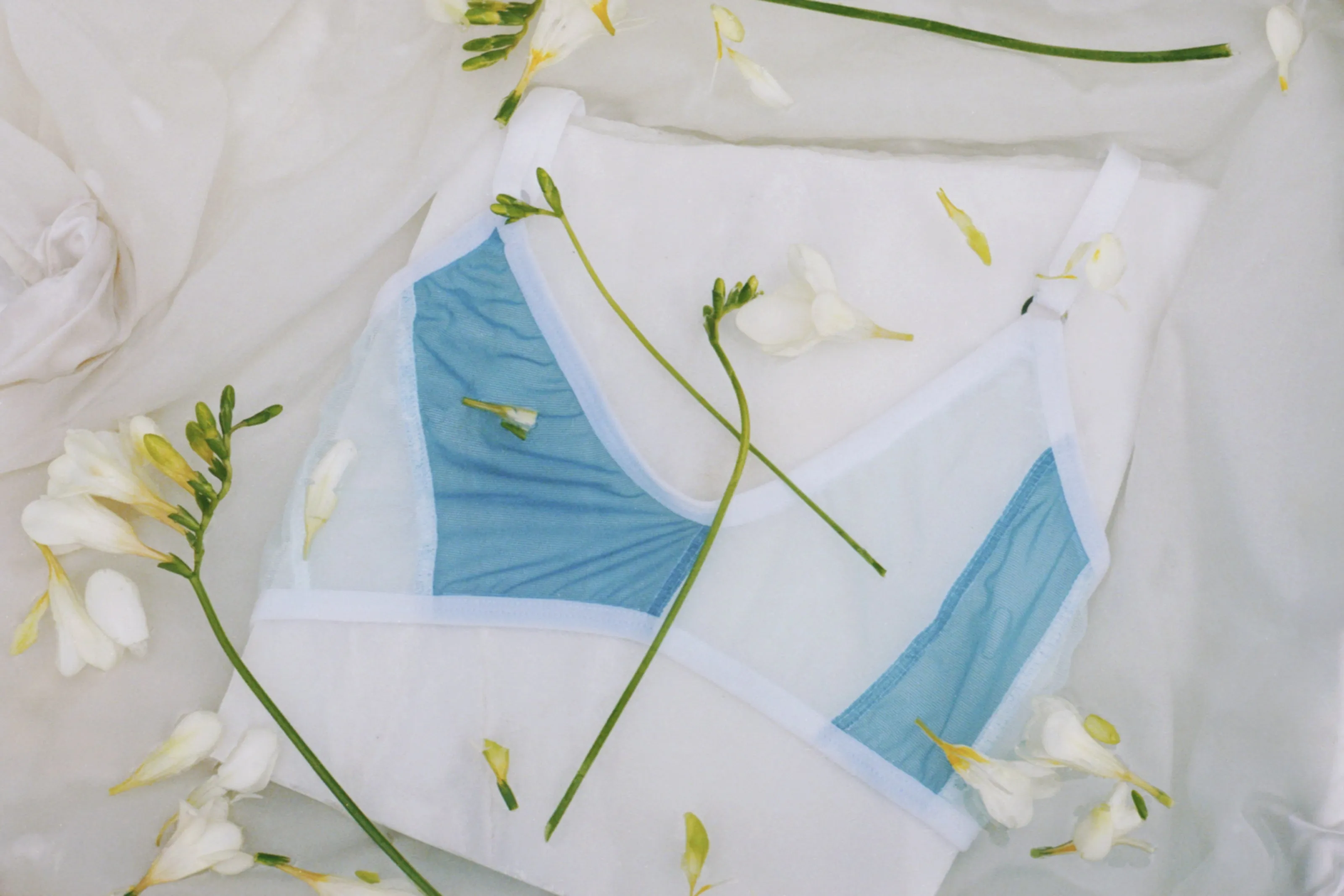 WALKER BRA - BLUE, PALE BLUE sold by Bully Boy product image thumbnail 4