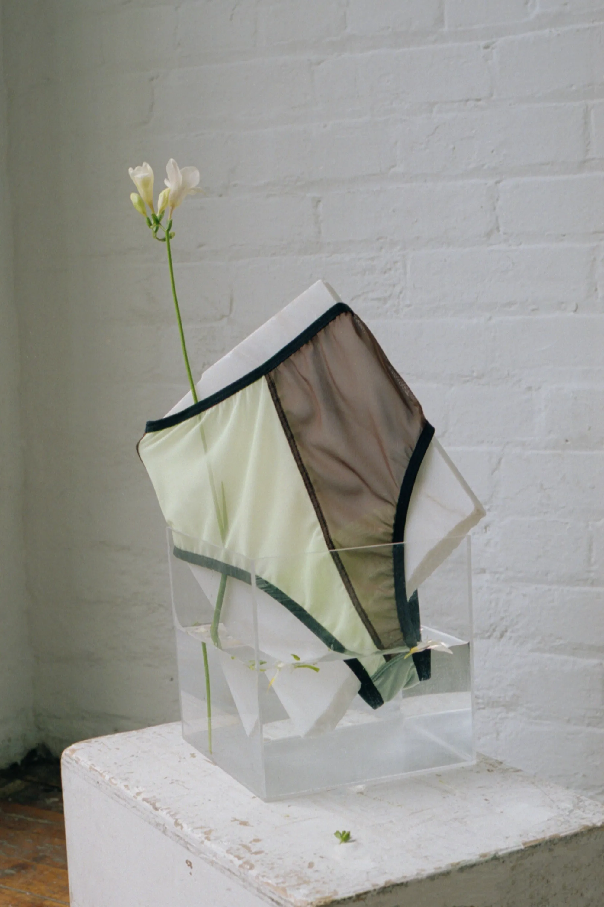 WALKER PANTIES - BROWN AND PALE GREEN sold by Bully Boy product image thumbnail 5