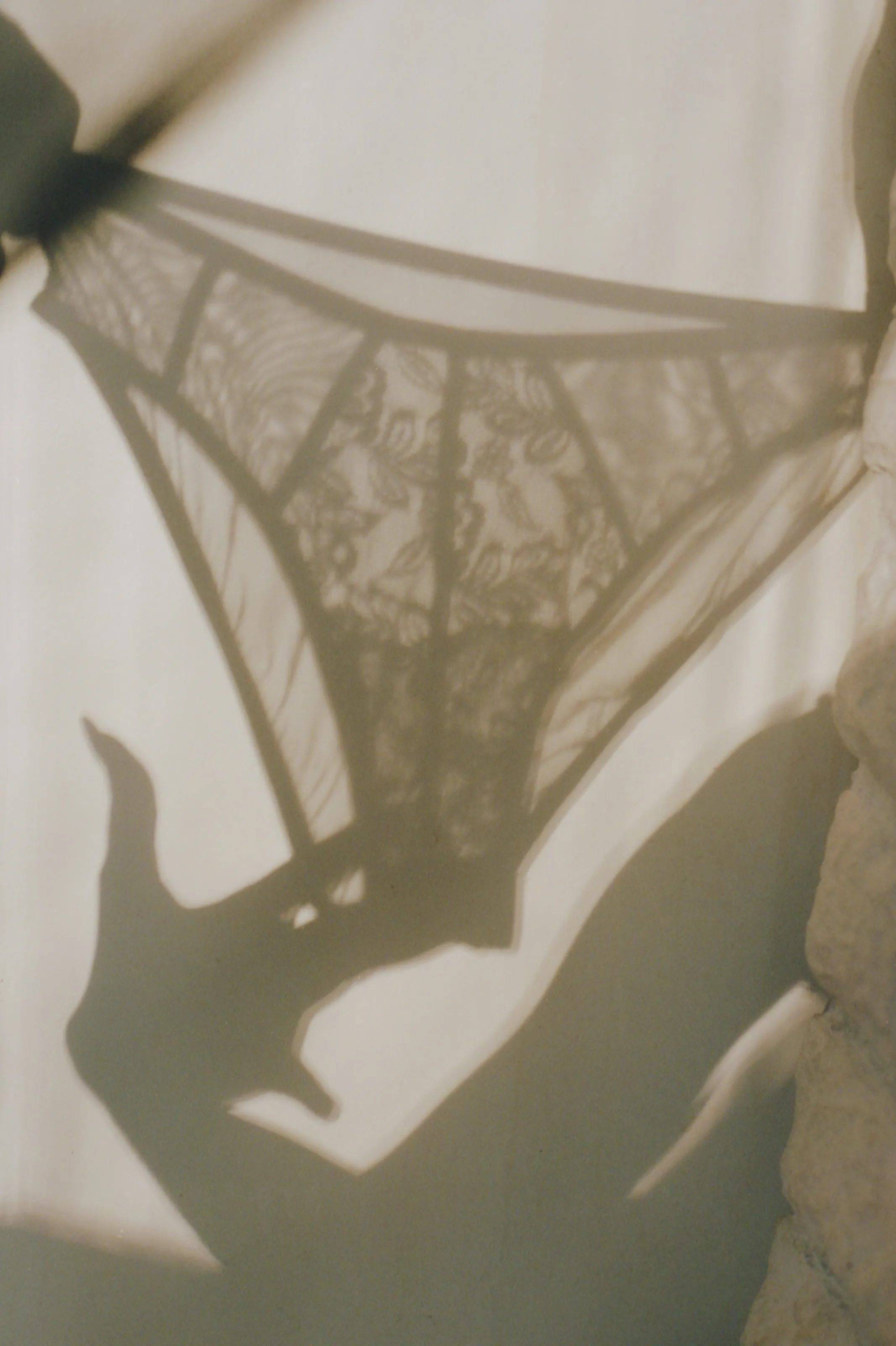 SELMA PANTIES - LACE sold by Bully Boy product image thumbnail 4