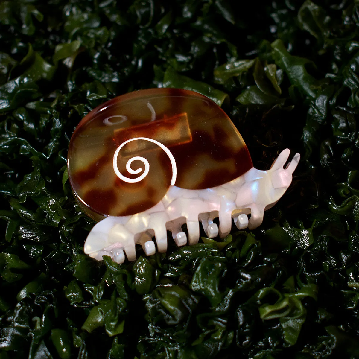 Sea Snail Claw sold by Winona Irene product image thumbnail 3