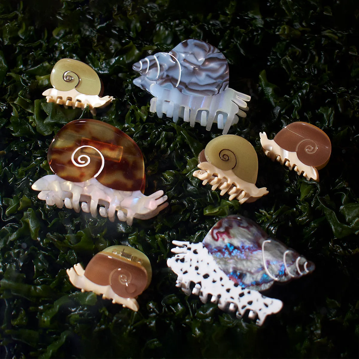 Sea Snail Claw sold by Winona Irene product image thumbnail 5