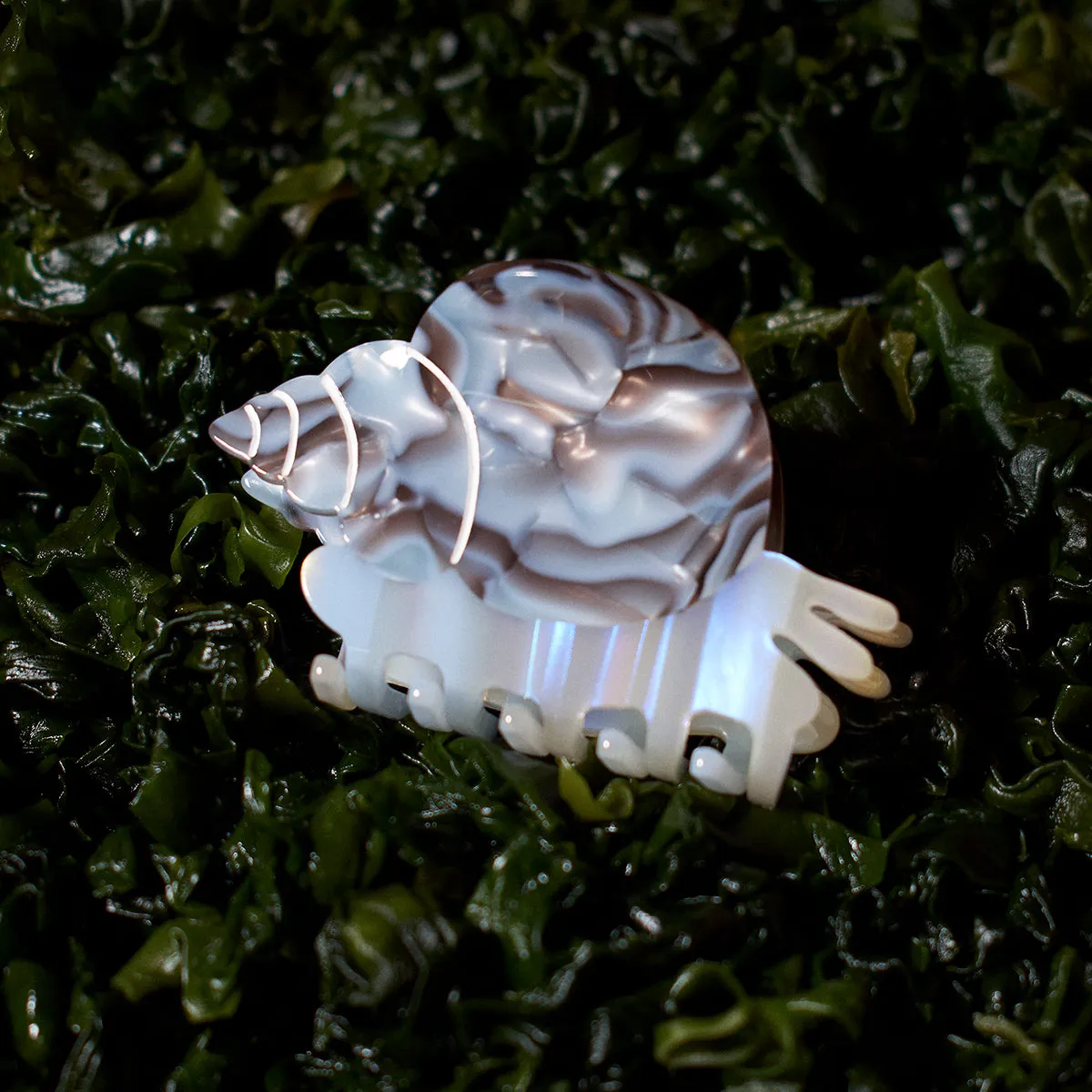 Blue Whelk Claw sold by Winona Irene product image thumbnail 4