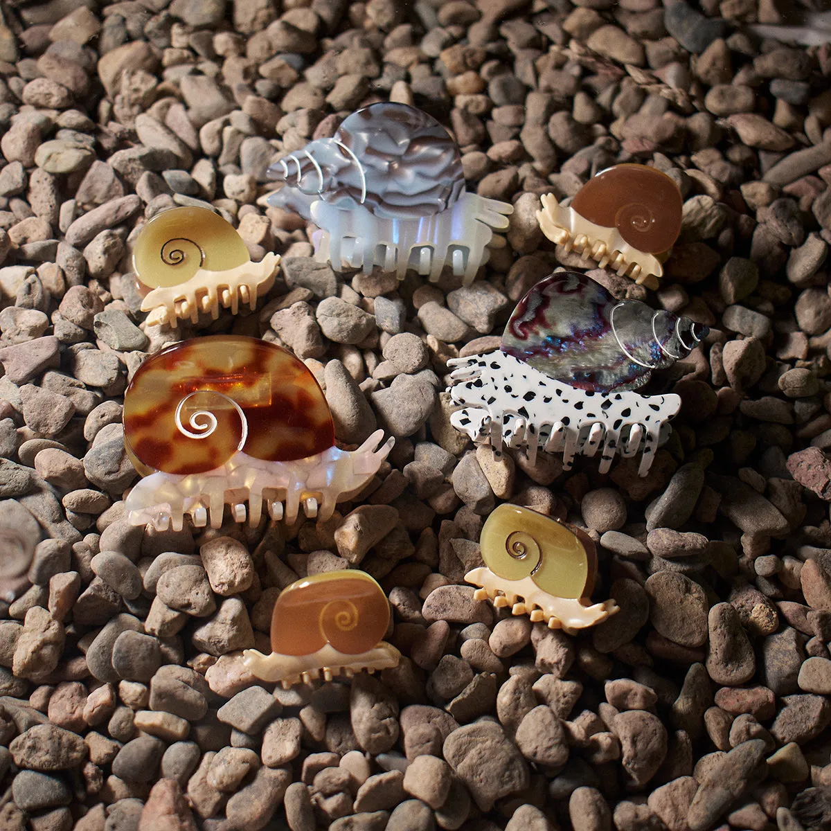 Blue Whelk Claw sold by Winona Irene product image thumbnail 5