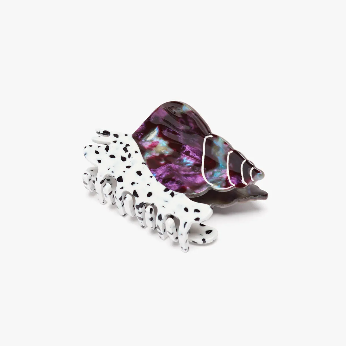 Spotted Whelk Claw sold by Winona Irene product image thumbnail 3