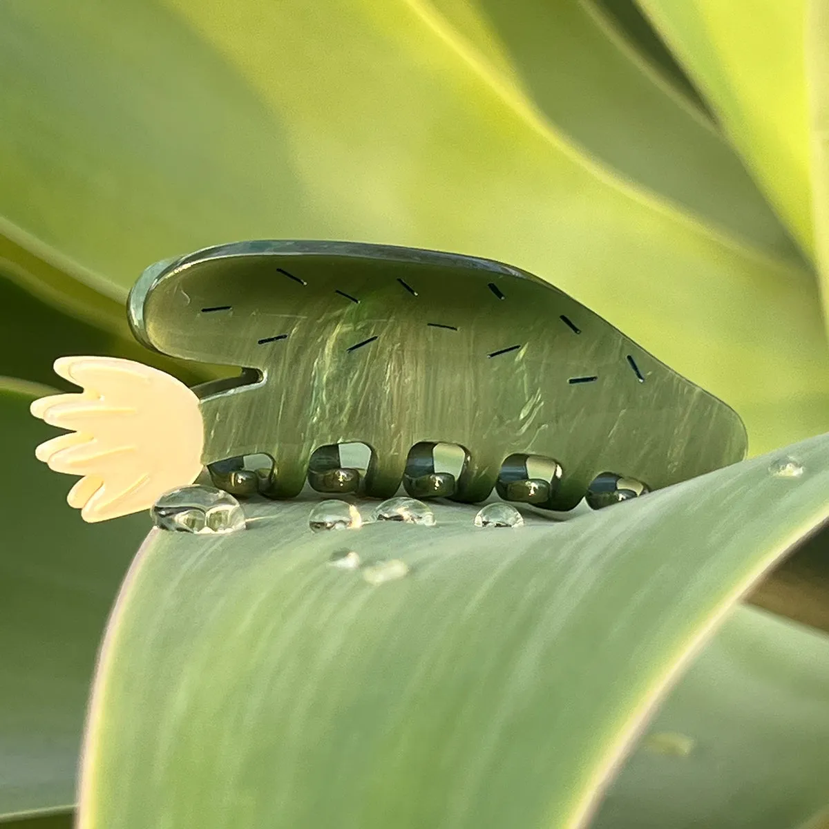 Desert Bloom Claw sold by Winona Irene product image thumbnail 5