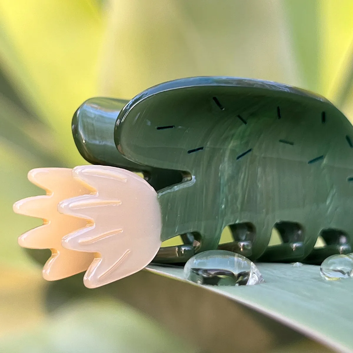 Desert Bloom Claw sold by Winona Irene product image thumbnail 4