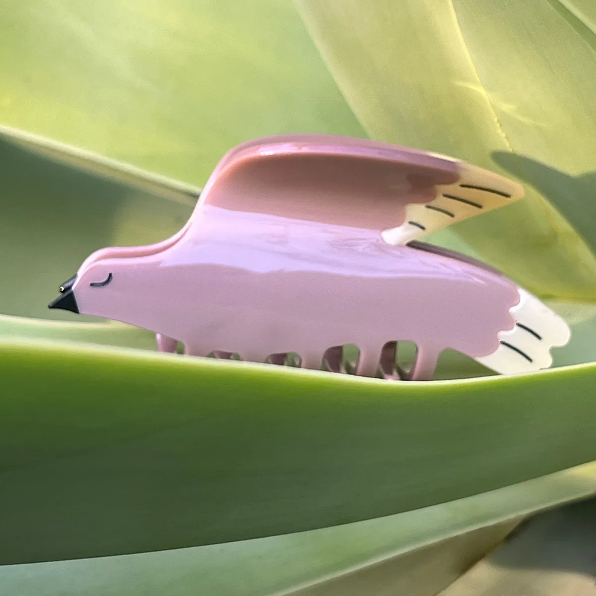 White Wing Dove Claw sold by Winona Irene product image thumbnail 2