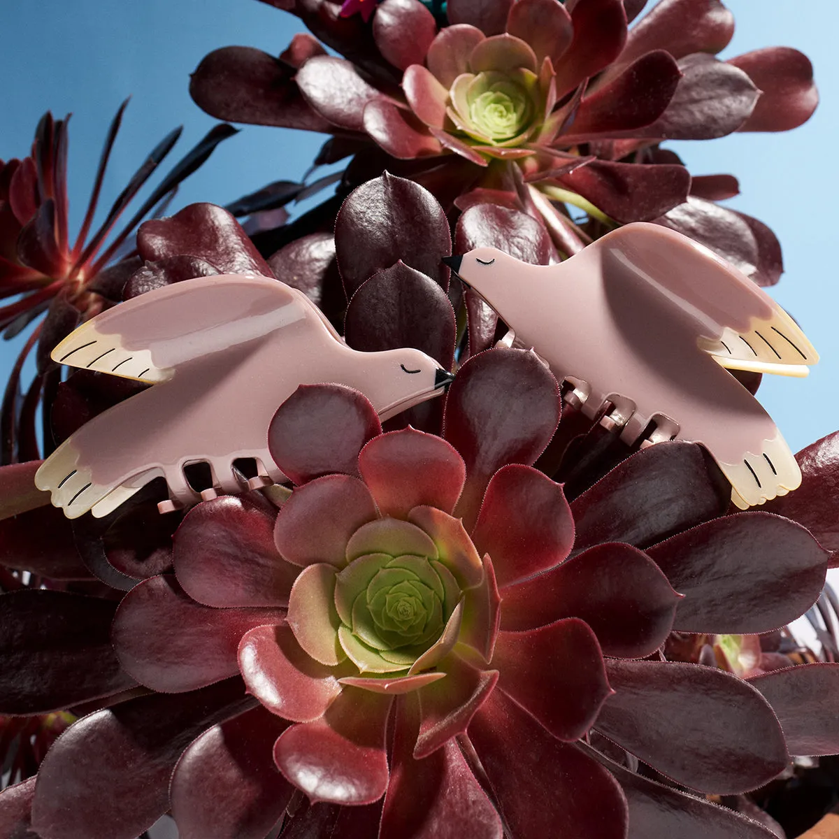 White Wing Dove Claw sold by Winona Irene product image thumbnail 4