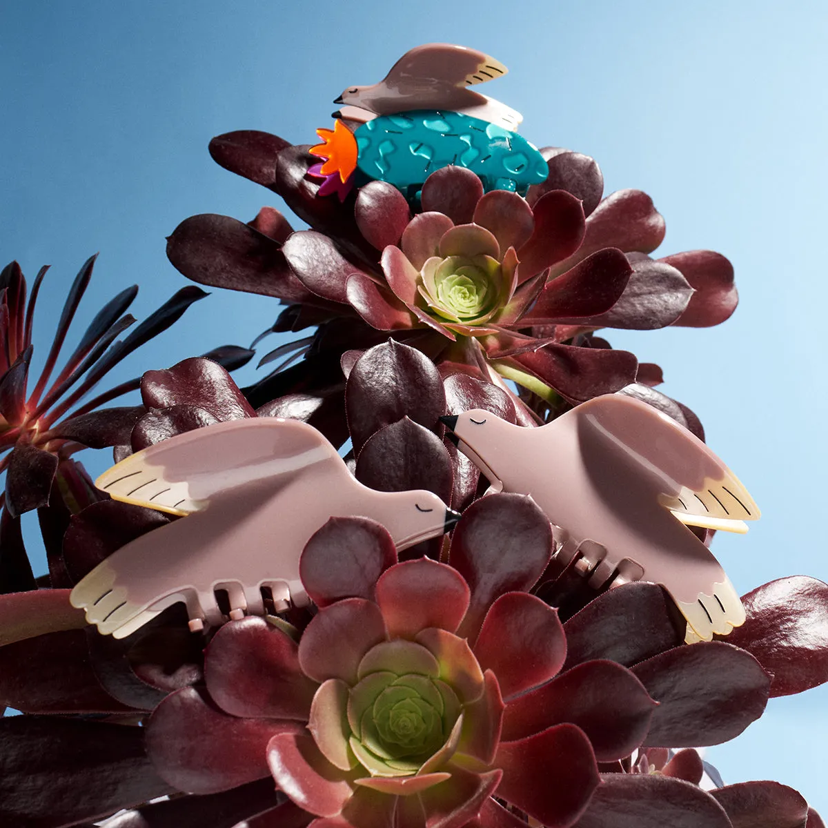 White Wing Dove Claw sold by Winona Irene product image thumbnail 5