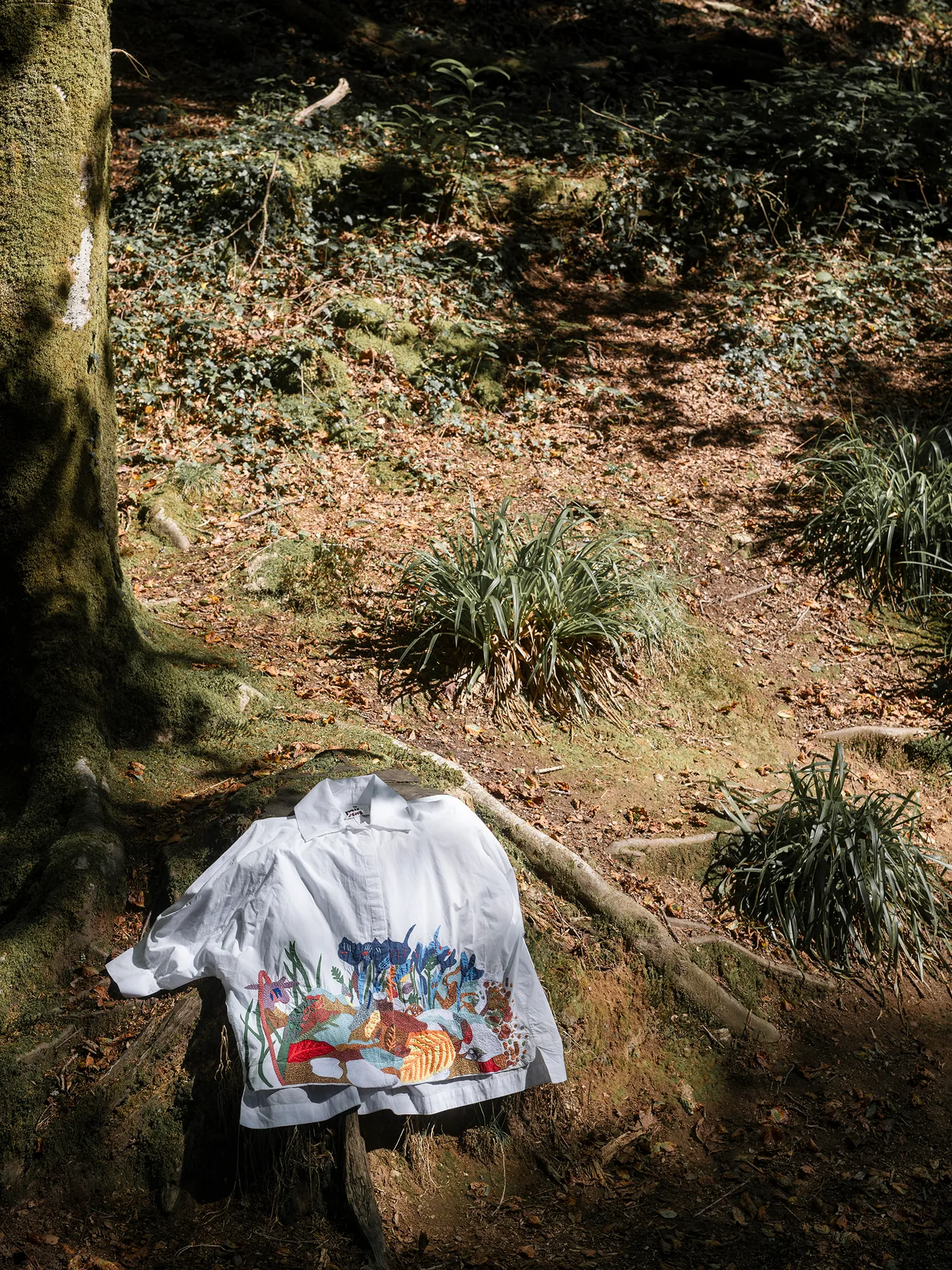 LA CHEMISE MANUELA - LA FORET sold by Mii Collection product image thumbnail 2