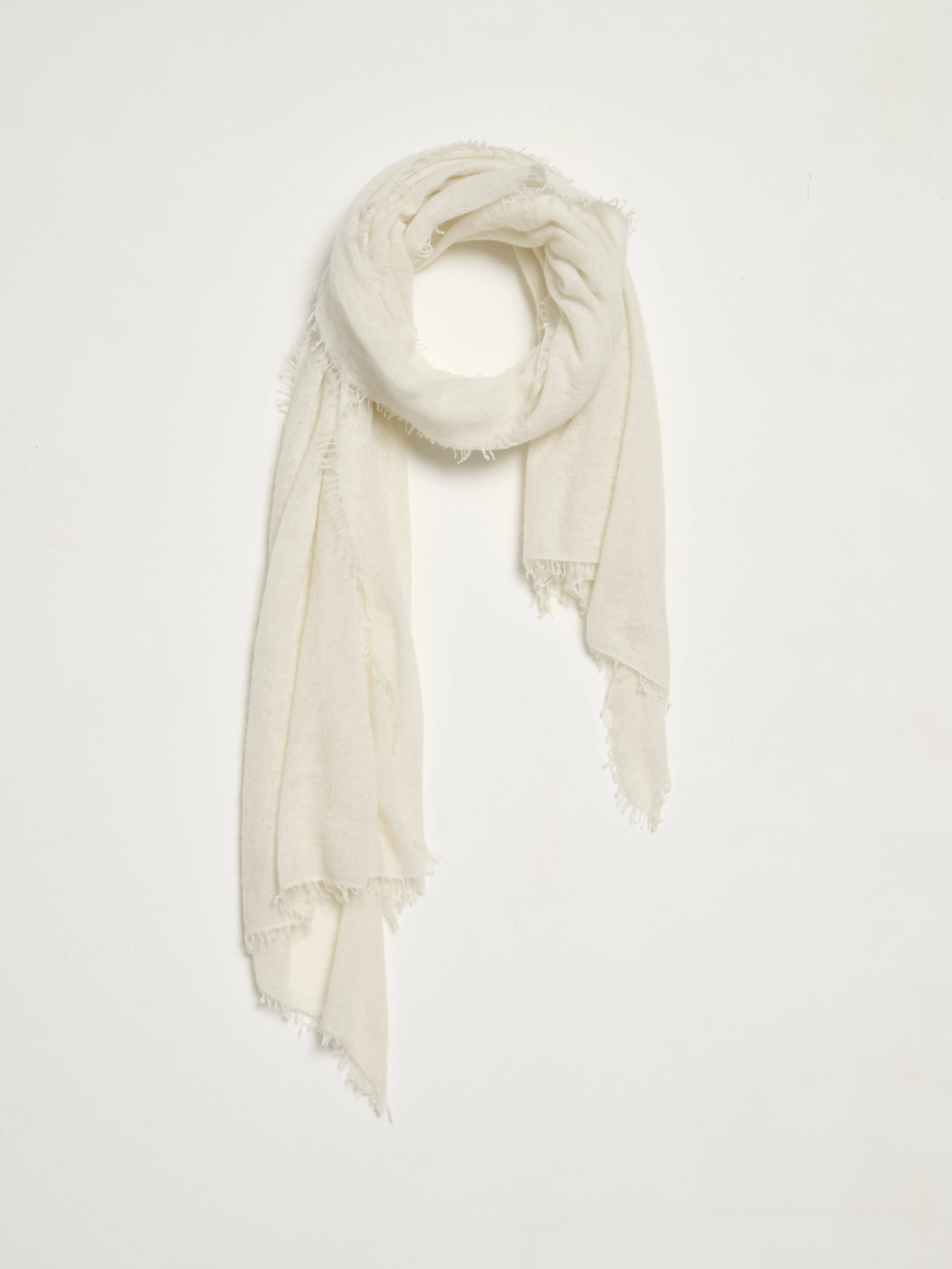 ÉCHARPE CACHEMIRE - LES UNIS sold by Mii Collection