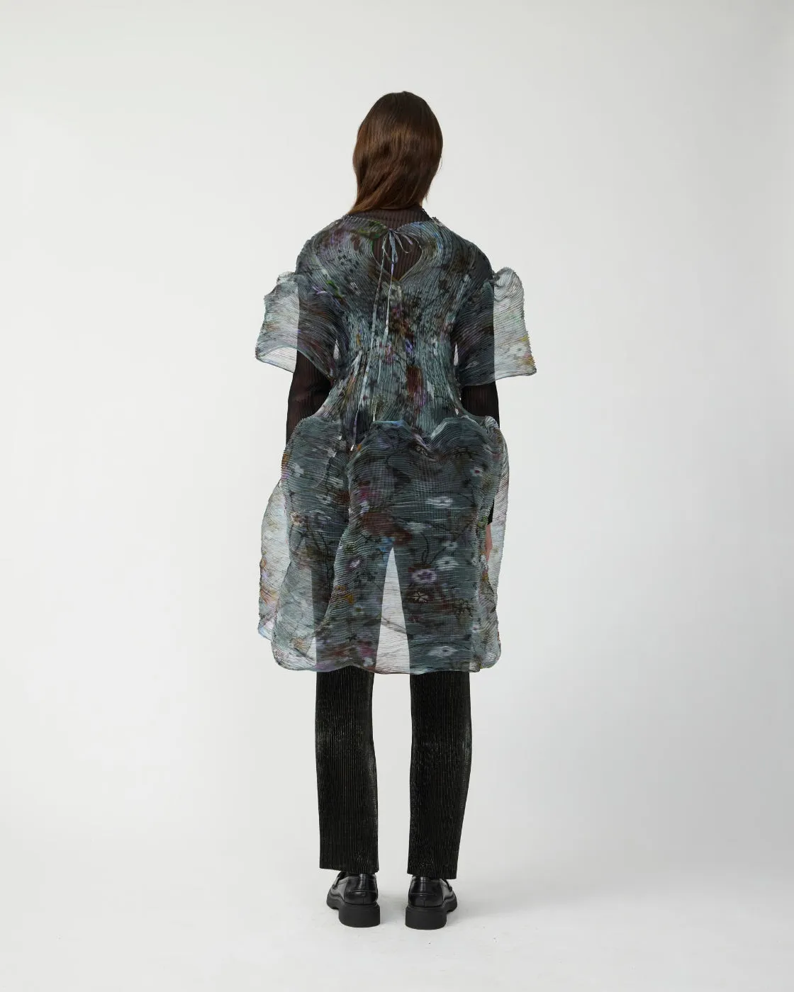 Thekla Handpleated Dress in Transparent Frances sold by Julia Heuer product image thumbnail 5