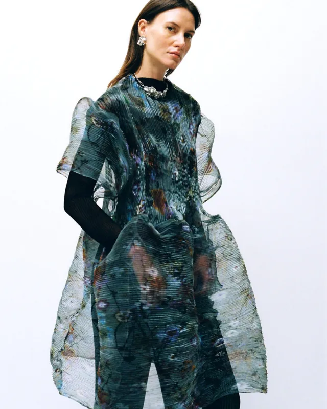 Thekla Handpleated Dress in Transparent Frances sold by Julia Heuer