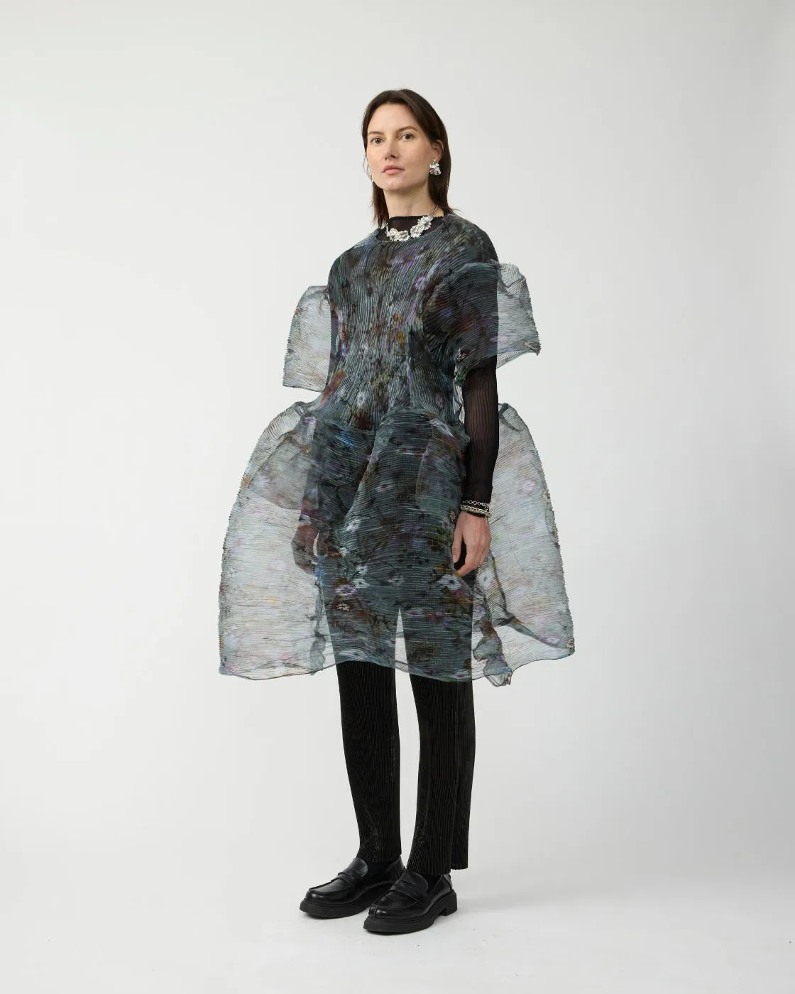 Thekla Handpleated Dress in Transparent Frances sold by Julia Heuer product image thumbnail 4