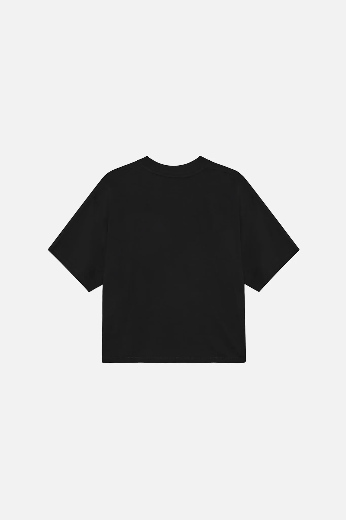 Houston Plain T-shirt M sold by Won Hundred product image thumbnail 3