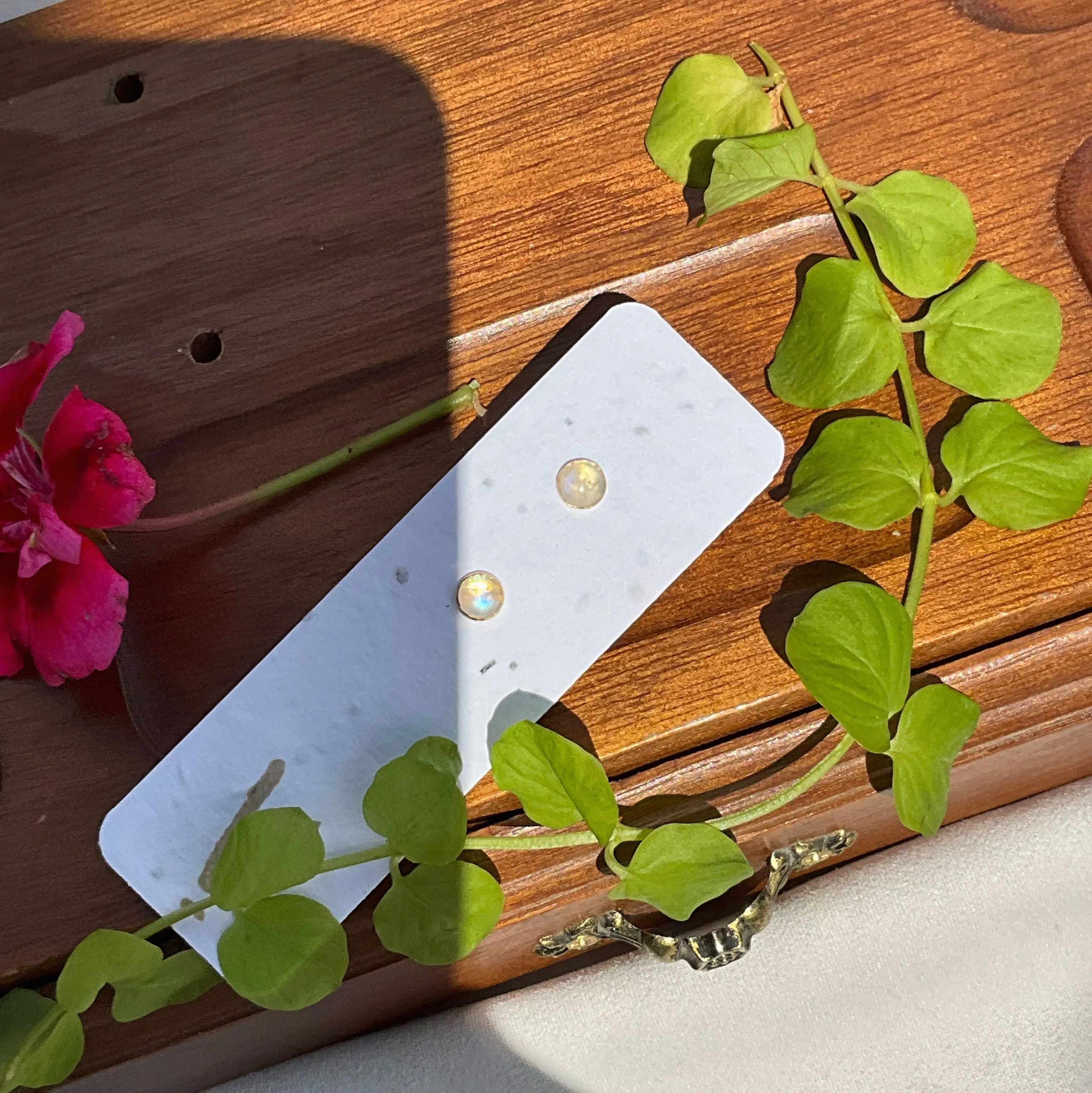 Moonstone Studs sold by Vanderzee